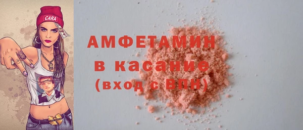 индика Горно-Алтайск