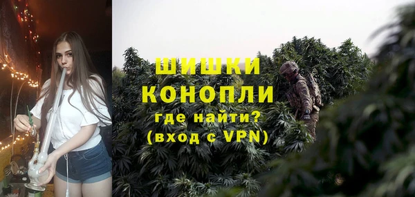 индика Горно-Алтайск