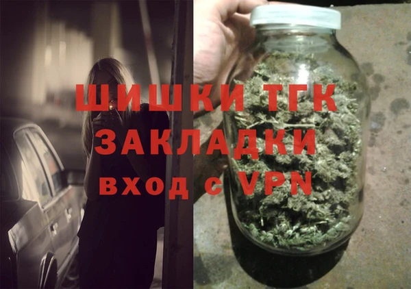 индика Горно-Алтайск