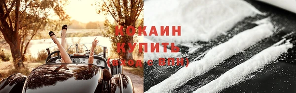 индика Горно-Алтайск