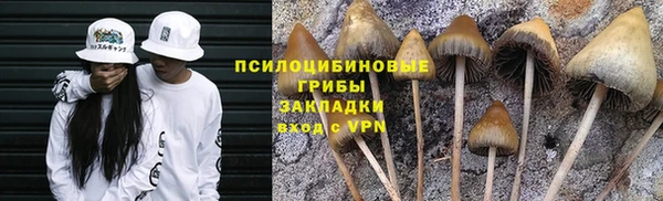 герыч Вязьма