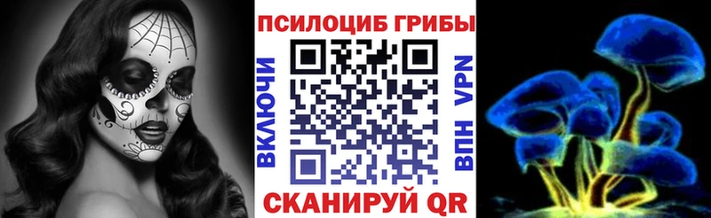 Галлюциногенные грибы GOLDEN TEACHER  Купить  Ленинск 